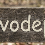 What Is Zvodeps? A Complete, Easy-to-Understand Guide