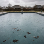 The Night After the Storm: Why Your Pool Becomes a Worm Trap